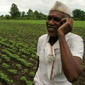 Индия: Телефонный агроном